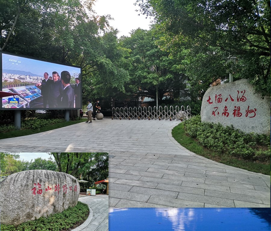 (用)七溜八溜拼图.jpg (用)七溜八溜拼图.jpg