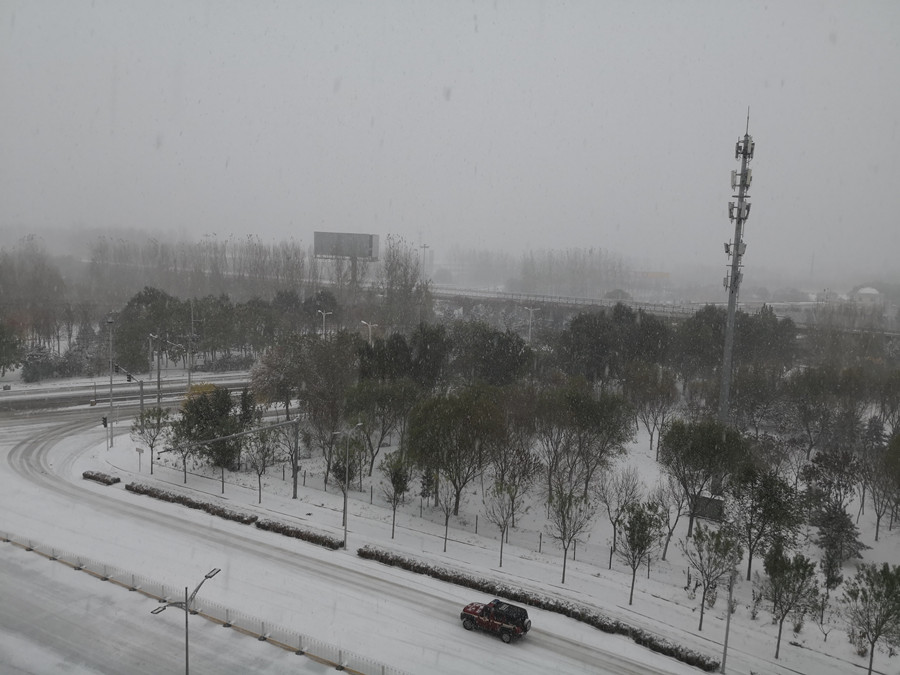 2021北京初雪(网站用).jpg 2021北京初雪(网站用).jpg
