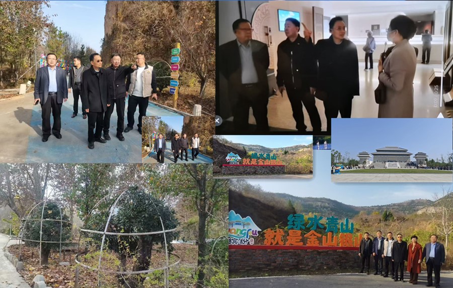 林智钦-山东青州聚合图片.jpg 林智钦-山东青州聚合图片.jpg